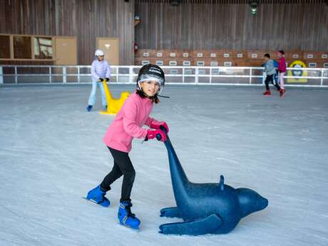 Jardin de glace à la patinoire