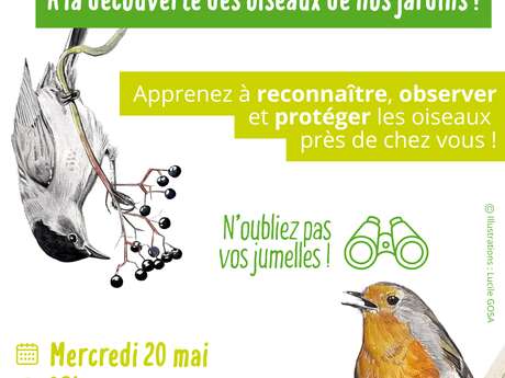 À la découverte des oiseaux de nos jardins !