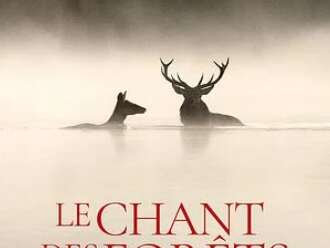 Ciné itinérant : "Le chant des forêts"