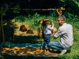 Espèce de courge :  Instrumentarium de calebasses