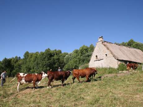 La Ferme des Supeyres