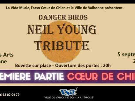 Concert Neil Youg tribute