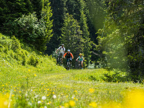 Itinéraire E-Bike - Châtel (N°19)