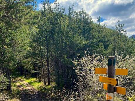 Tour de la Tête du Pape (N°18)