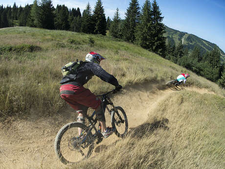 Coaching Track (DH)