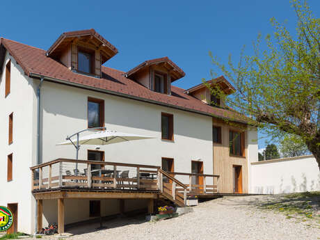Le vieux Robinier