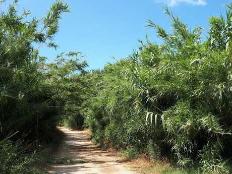 Der Entdeckungspfad zu den traditionellen Aktivitäten im Tal von La Mole