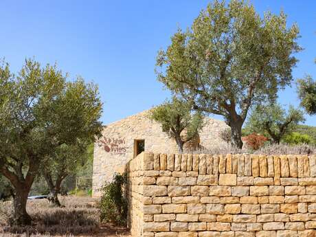 Le Jardin des Oliviers