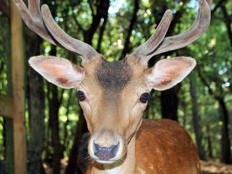 Aoubre, l'aventure nature