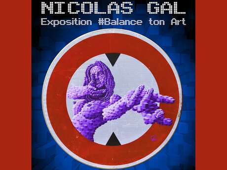 Exposition « #balance ton art » de Nicolas Gal