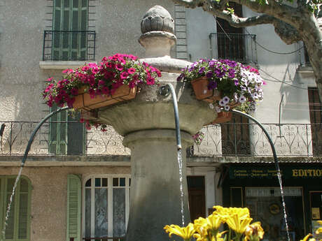 Fontaine de la Place  Itard