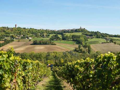 The Quercy Winegrowers' Winery