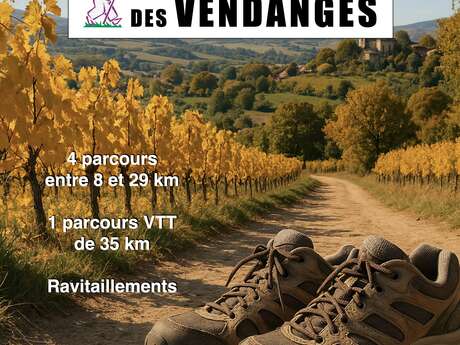 Randonnée des Vendanges