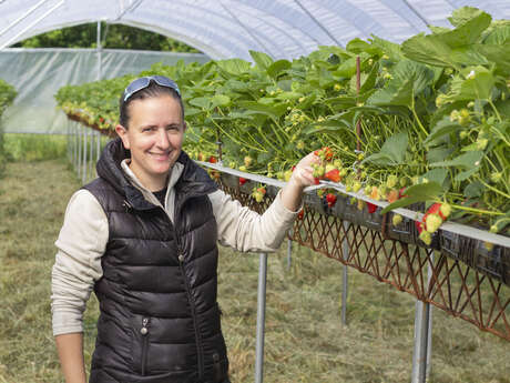 G.I.E. des producteurs de fruits rouges des Monts du Velay