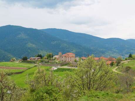 La route des lavandes à vélo (N°13)