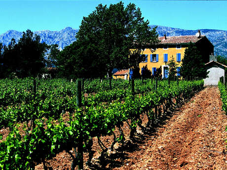 Domaine Houchart - Famille Quiot