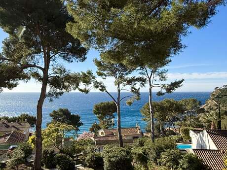 Villa T6 - 12 Personen