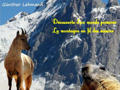 Projection du film "Là-haut le monde est encore parfait"