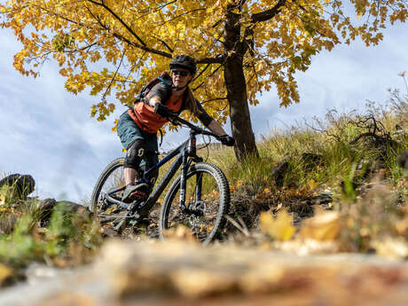 All mountain biking tours with Bike La Grave