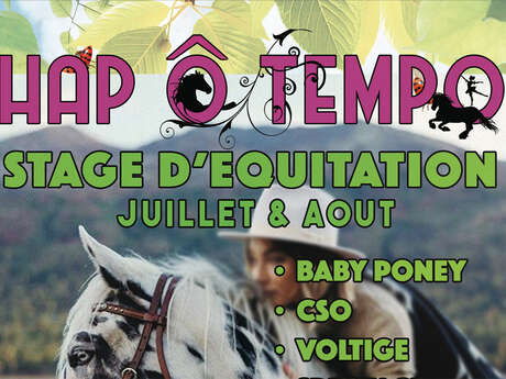 Stage Equestre Automne