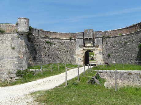Visite historique du Fort La Prée (libre ou guidée)