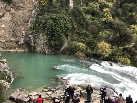La source de la Sorgue