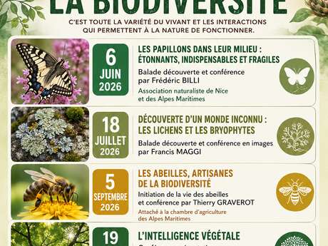 Conférence - L'intelligence végétale