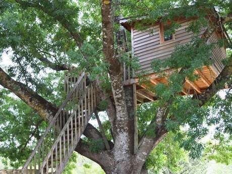 La Cabane - Moulin Saint Augustin