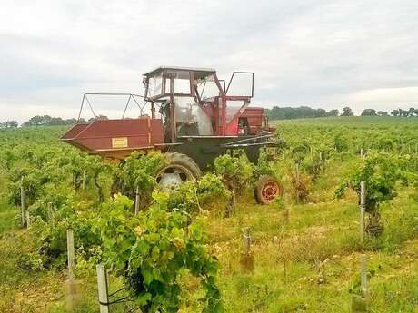 Domaine du Père Papité