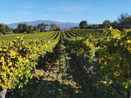 Domaine les Hautes Briguières