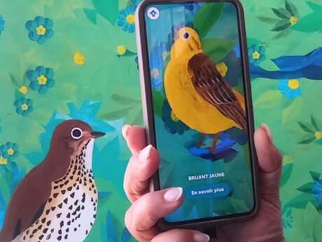 Exposition - Ecoute les oiseaux