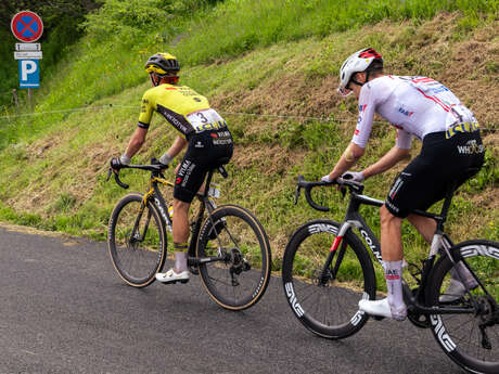 Road bike rental / Jaime Sport
