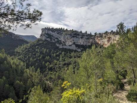 1/2 Journée - Randonnée "A la tombée de la nuit" - Auriol