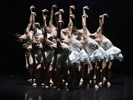 Spectacle : Angelin Preljocaj - Le Lac des Cygnes