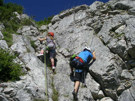 Escalade avec Lézard des Bois
