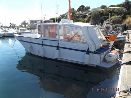 Visite des Calanques