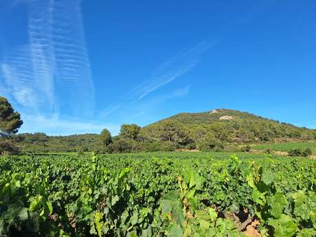 Una passeggiata sulle orme della Tartaruga, nella tenuta di Favanquet