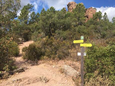 Promenade  La Pierre du Coucou - Bagnols-en-Forêt