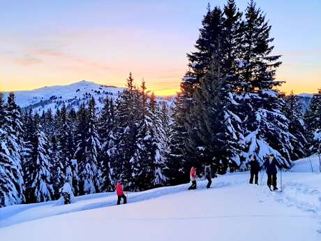 Randonnée crépuscule en raquettes à la savoyarde
