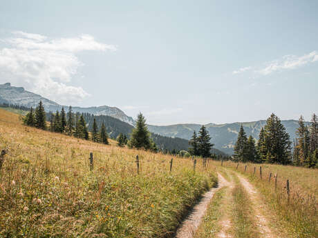 Summer Hiking trail loop from vllage to Rochebrune - Cote 2000