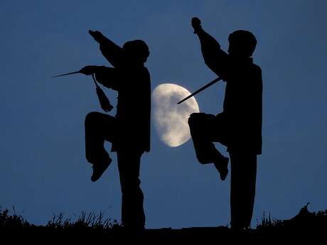QI CONG TAI CHI
