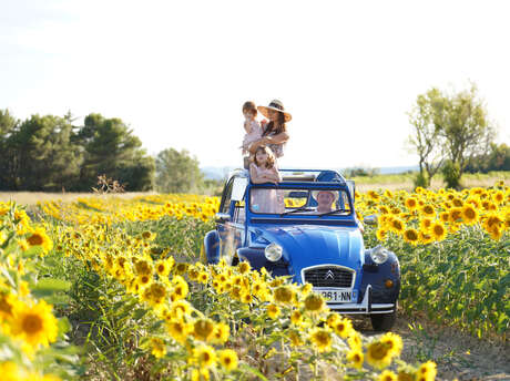 Oh my Deuche, 2cv rental - Balades en Provence