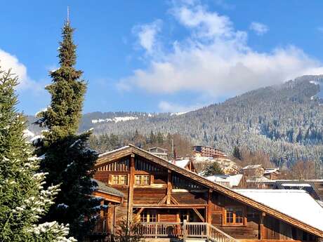 Appartement dans chalet - 6 personnes - Chez Zéline