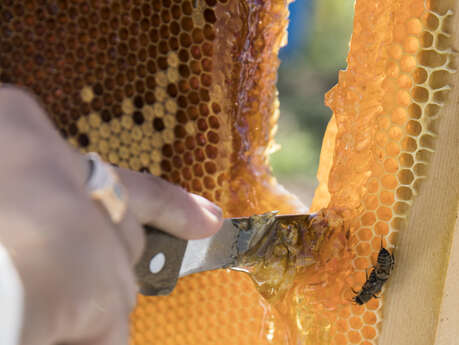 Atelier pâtisserie par l'Abeille de Ré