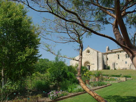 Atelier Dans la forêt lointaine ...