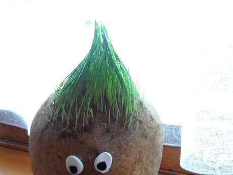 DIY workshop: Mr Potato Head