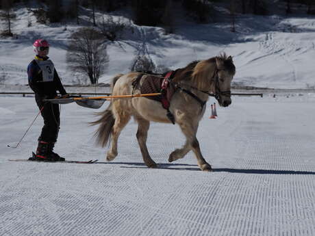 Stage de ski joëring