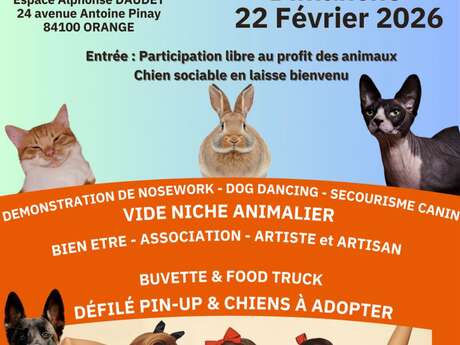 Salon animalier : OSA fait son show