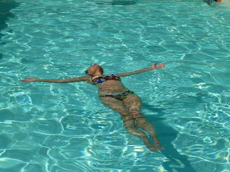 Les Albizias - Figuier