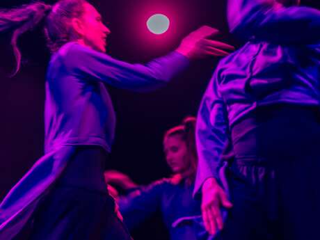 Envolées Fantaisistes (danse)